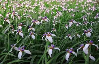 打枪名作《死亡之屋2：重制版》10月24日登陆PS＆Xbox平台